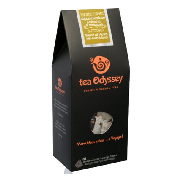 Τσάι ζεστό "ΜΝΗΣΤΗΡΕΣ" bio (πράσινο τσάι με φρούτα & μπαχαρικά) 60γρ. 20 τεμάχια Odyssey